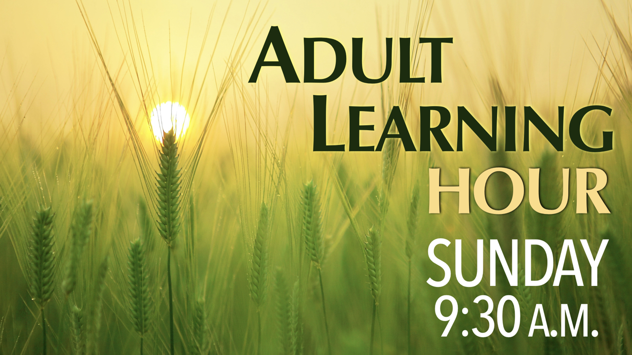 RLC Adult Learning Hour Sundays at 9:30 a.m.