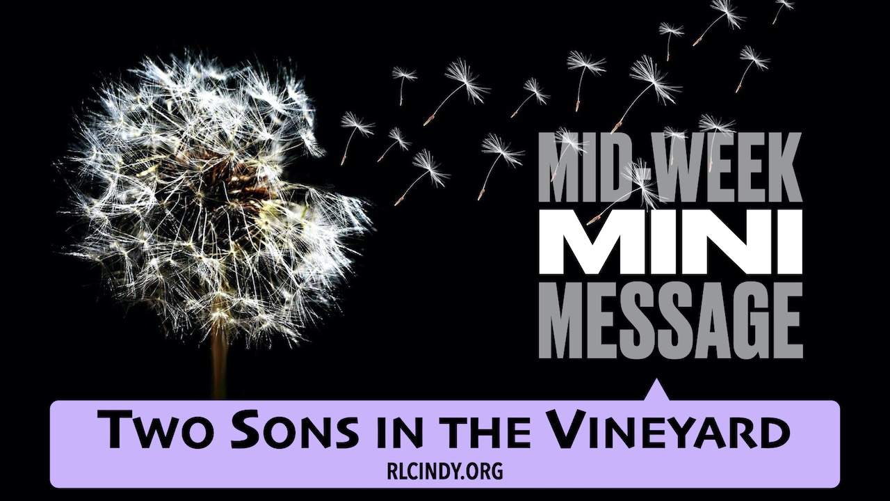 Mid-week Mini Message for RLC Kids: Two Sons in the Vineyard
