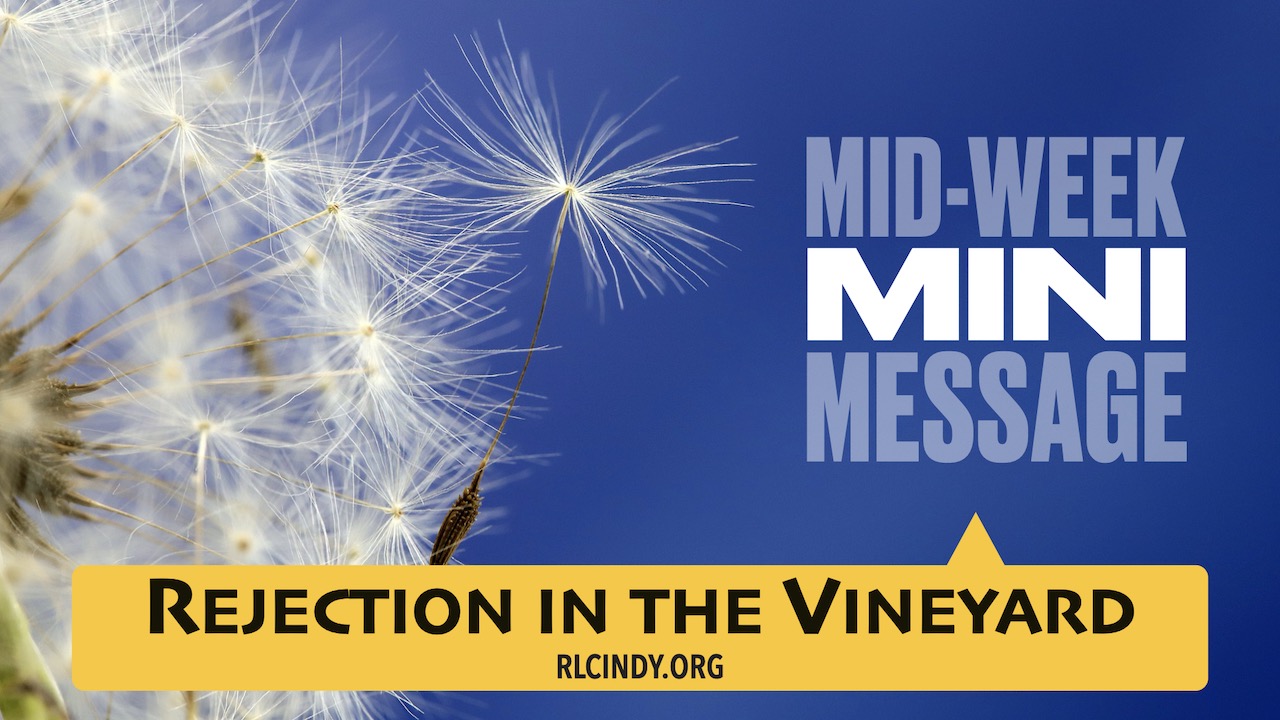 Mid-week Mini Message for RLC Kids: Rejection in the Vineyard
