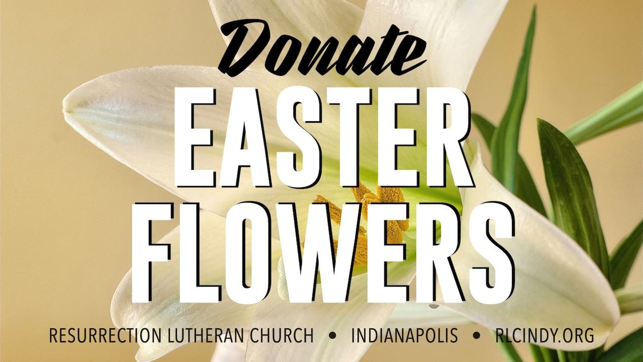 Donate Easter Flowers to Help Decorate Resurrection Lutheran Church for Easter Sunday