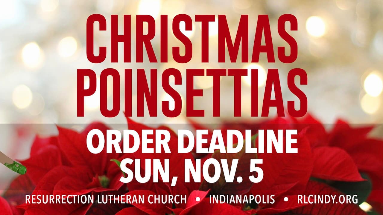 Order Christmas Poinsettias for Resurrection Lutheran Church by Sunday, Nov. 5