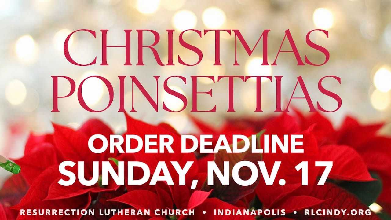 Order Christmas Poinsettias for Resurrection Lutheran Church by Sunday, Nov. 17