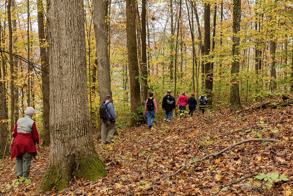 Hiking group on a fall hike