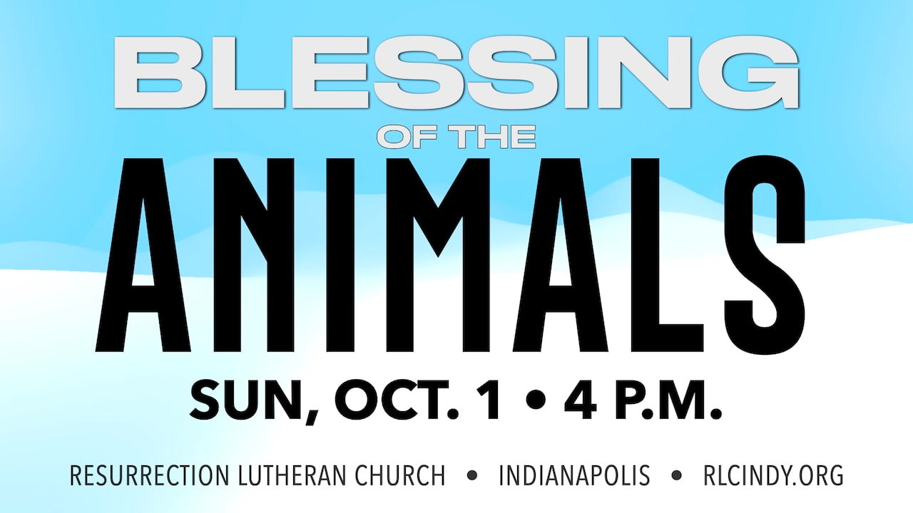 Blessing of the Animals service on Sunday, Oct. 1 at 4 p.m. at Resurrection Lutheran Church
